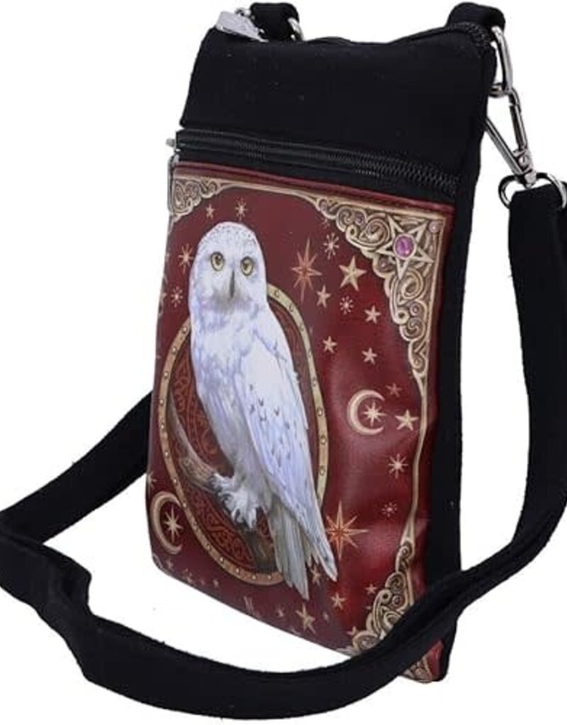 Magical Flight Shoulder Bag 23cm