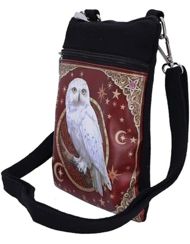 Magical Flight Shoulder Bag 23cm