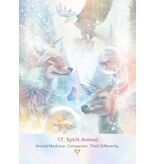 LightWeb Oracle Deck