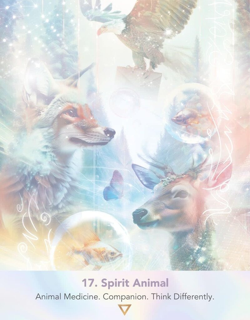 LightWeb Oracle Deck