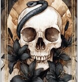 Memento Mori: 36 Mini Affirmation Cards to Embrace Life