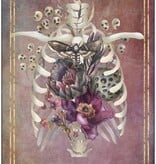 Memento Mori: 36 Mini Affirmation Cards to Embrace Life