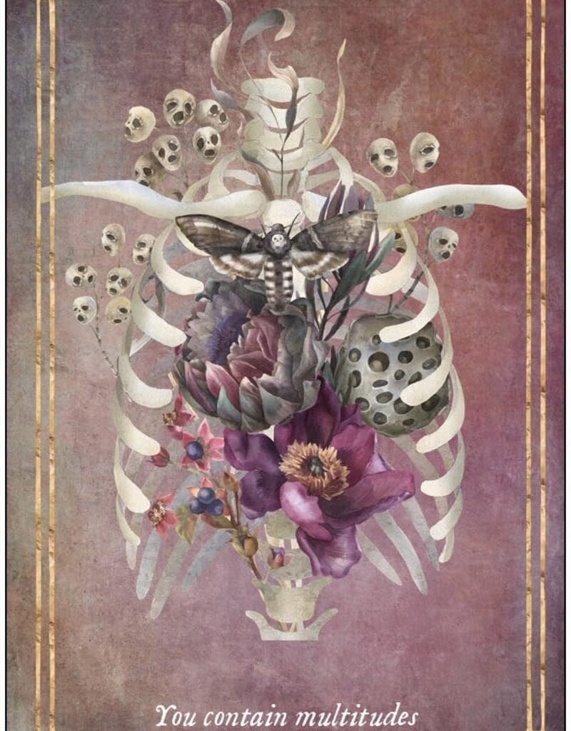 Memento Mori: 36 Mini Affirmation Cards to Embrace Life