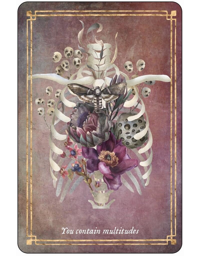 Memento Mori: 36 Mini Affirmation Cards to Embrace Life