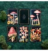 Mushrooms: Daily Doses of Wisdom (36 Gilt-Edged Full-Color Cards)