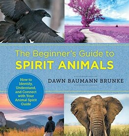 The Beginner's Guide to Spirit Animals