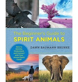 The Beginner's Guide to Spirit Animals