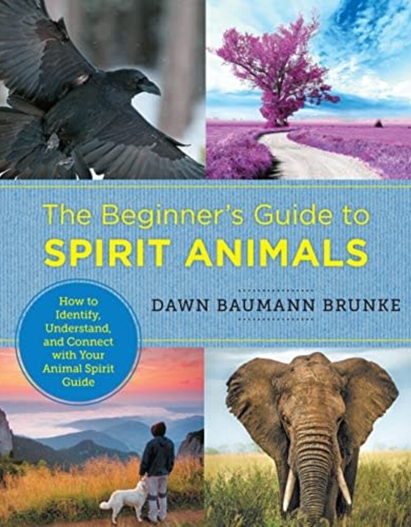 The Beginner's Guide to Spirit Animals: How to Identify, Understand, and Connect with Your Animal Spirit Guide