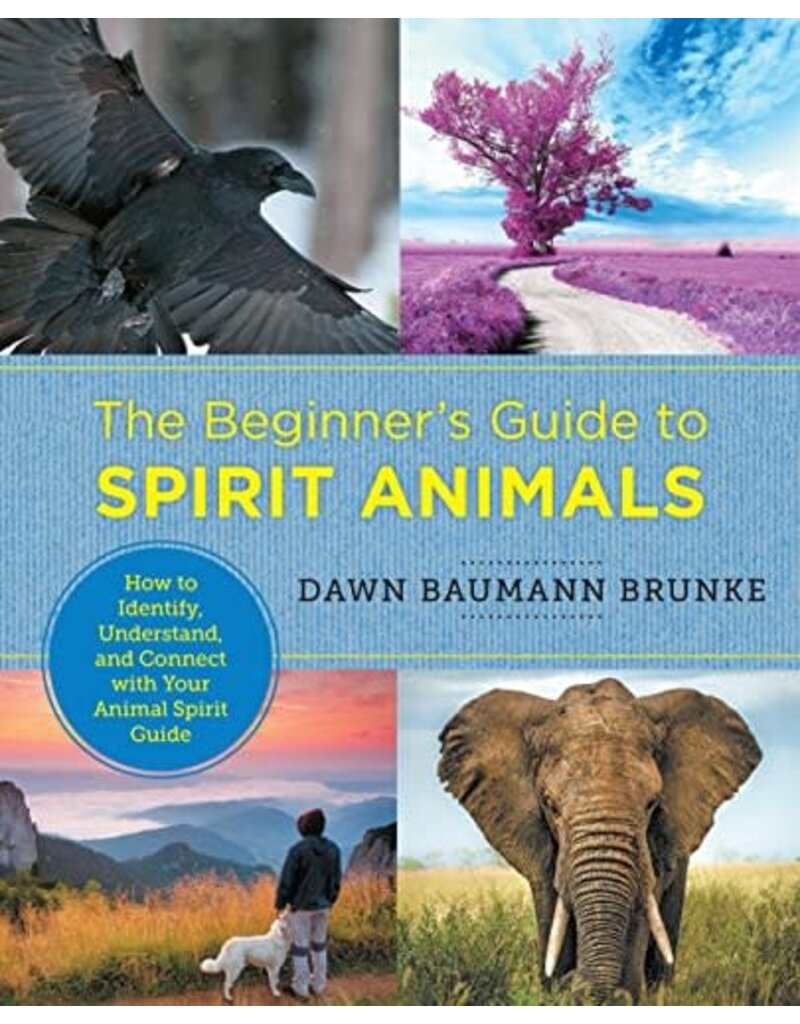 The Beginner's Guide to Spirit Animals: How to Identify, Understand, and Connect with Your Animal Spirit Guide