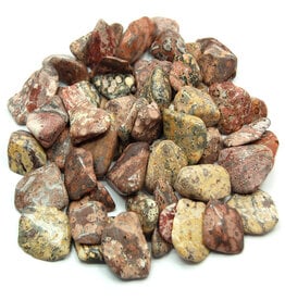 Leopardskin Jasper - Small Gemstone Tumbled