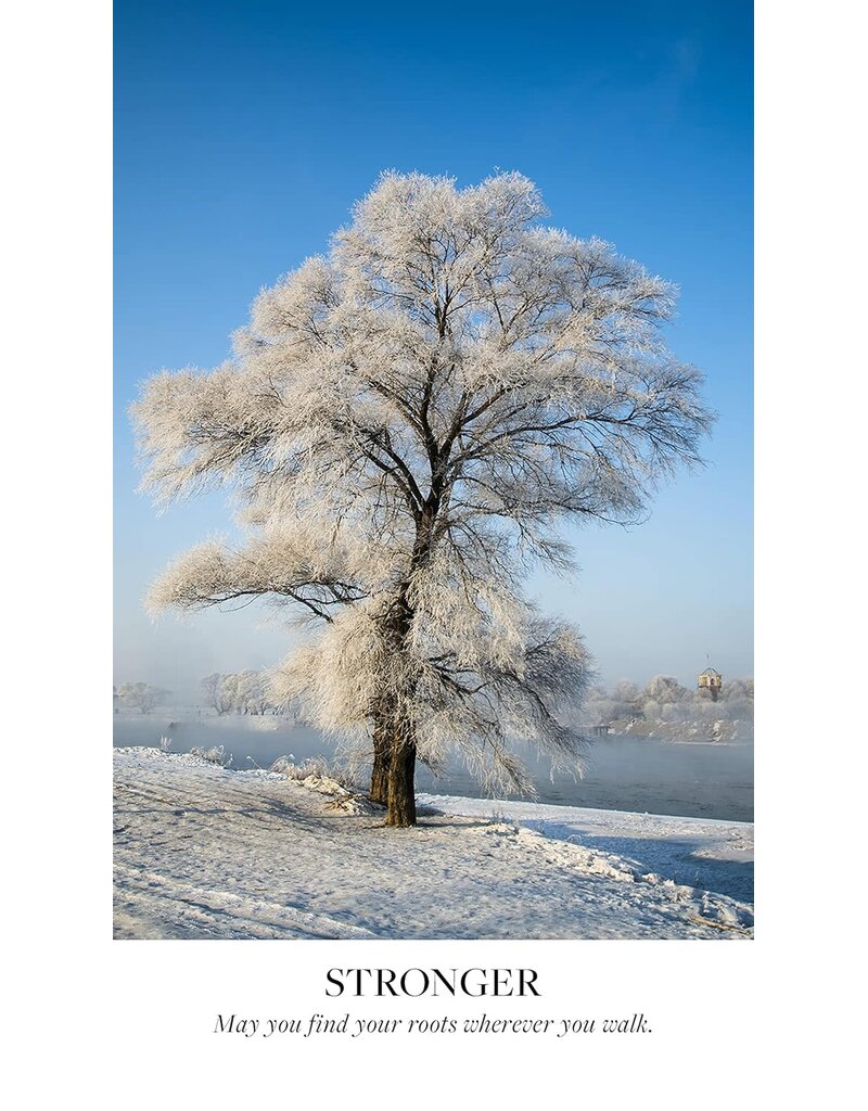 Earth Blessings Oracle Cards