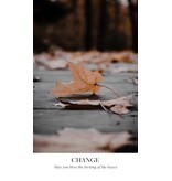 Earth Blessings Oracle Cards