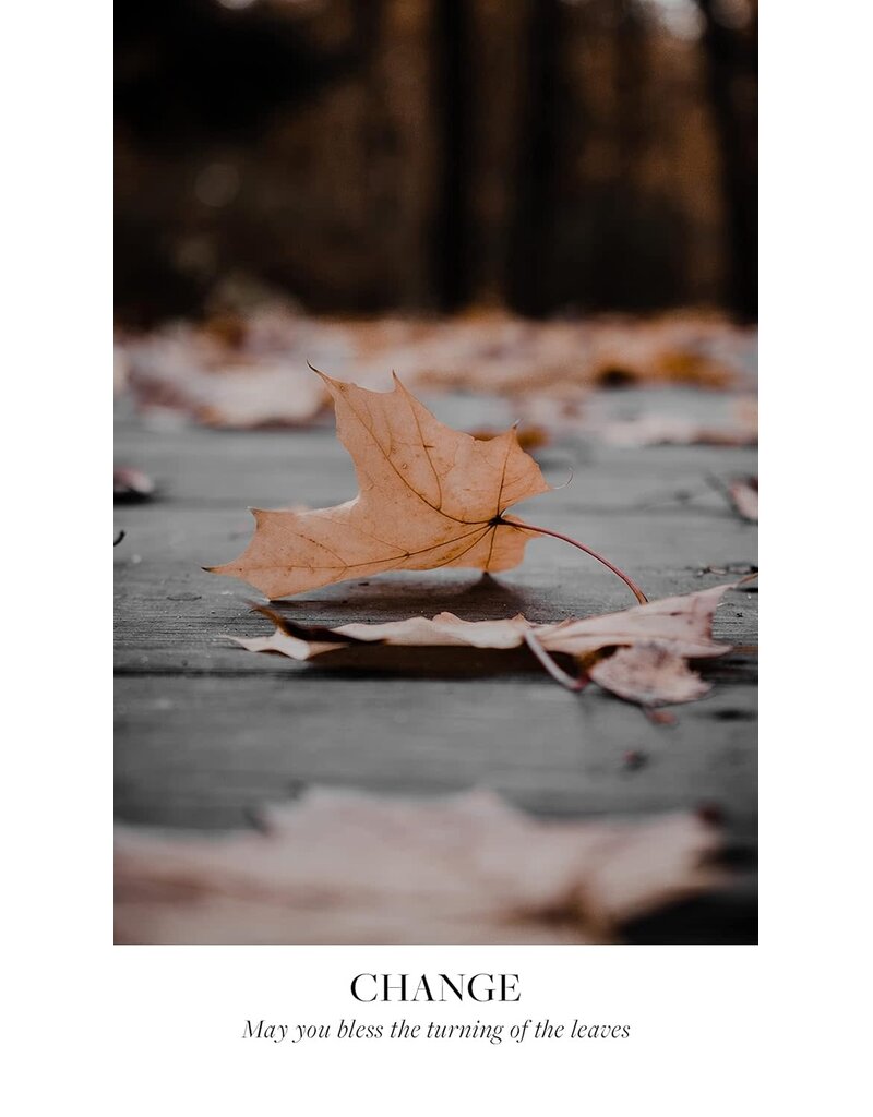 Earth Blessings Oracle Cards