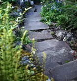 Earth Blessings Oracle Cards