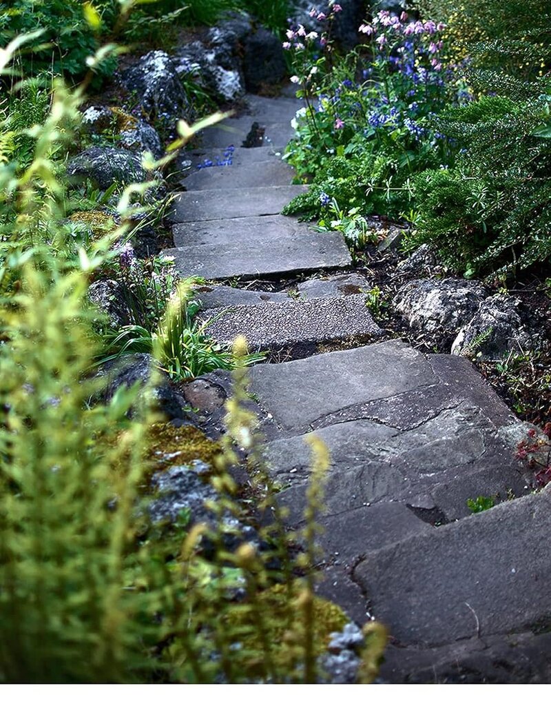 Earth Blessings Oracle Cards