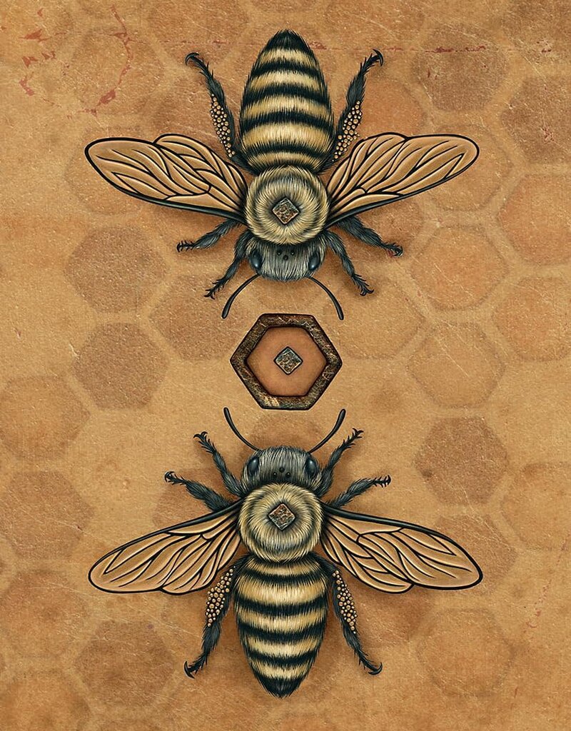 Bee Tarot