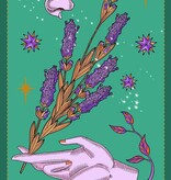 Herbarium Oracle