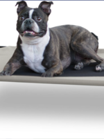 BED01 - Medium Dog Bed/Cot 40x30