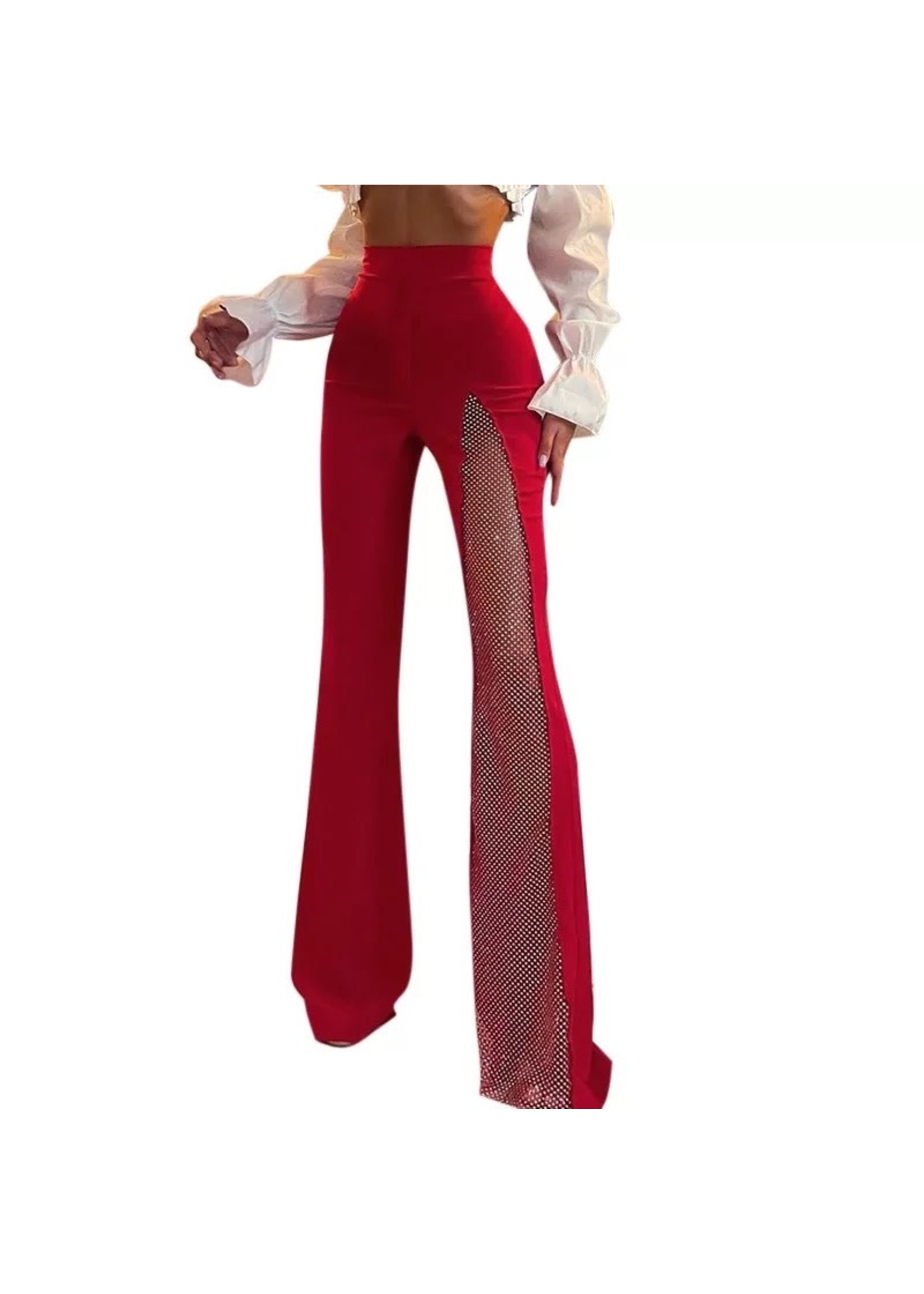 High Waisted Flare Leg Mesh Pants