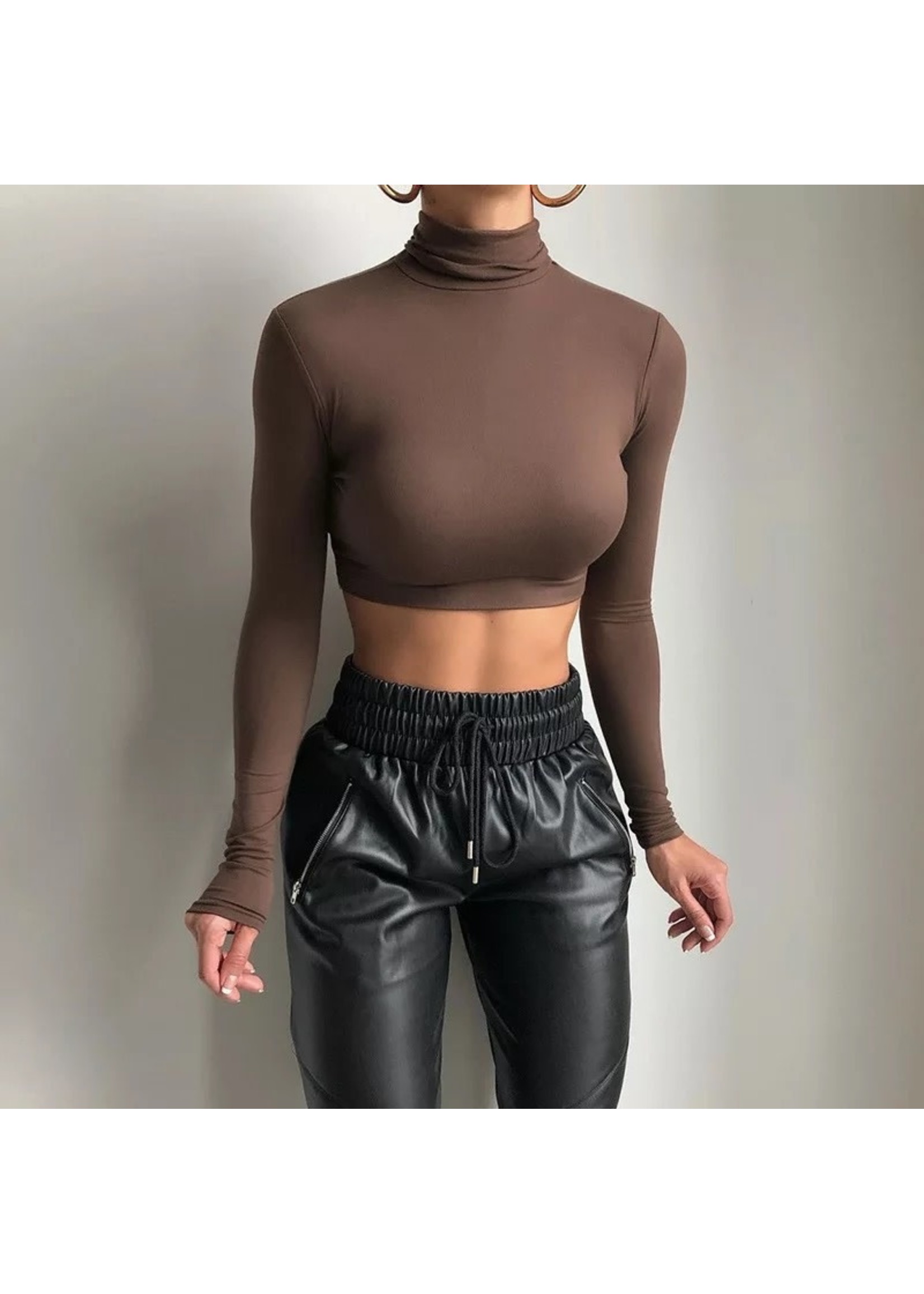Basic Long Sleeve Turtleneck Crop Top