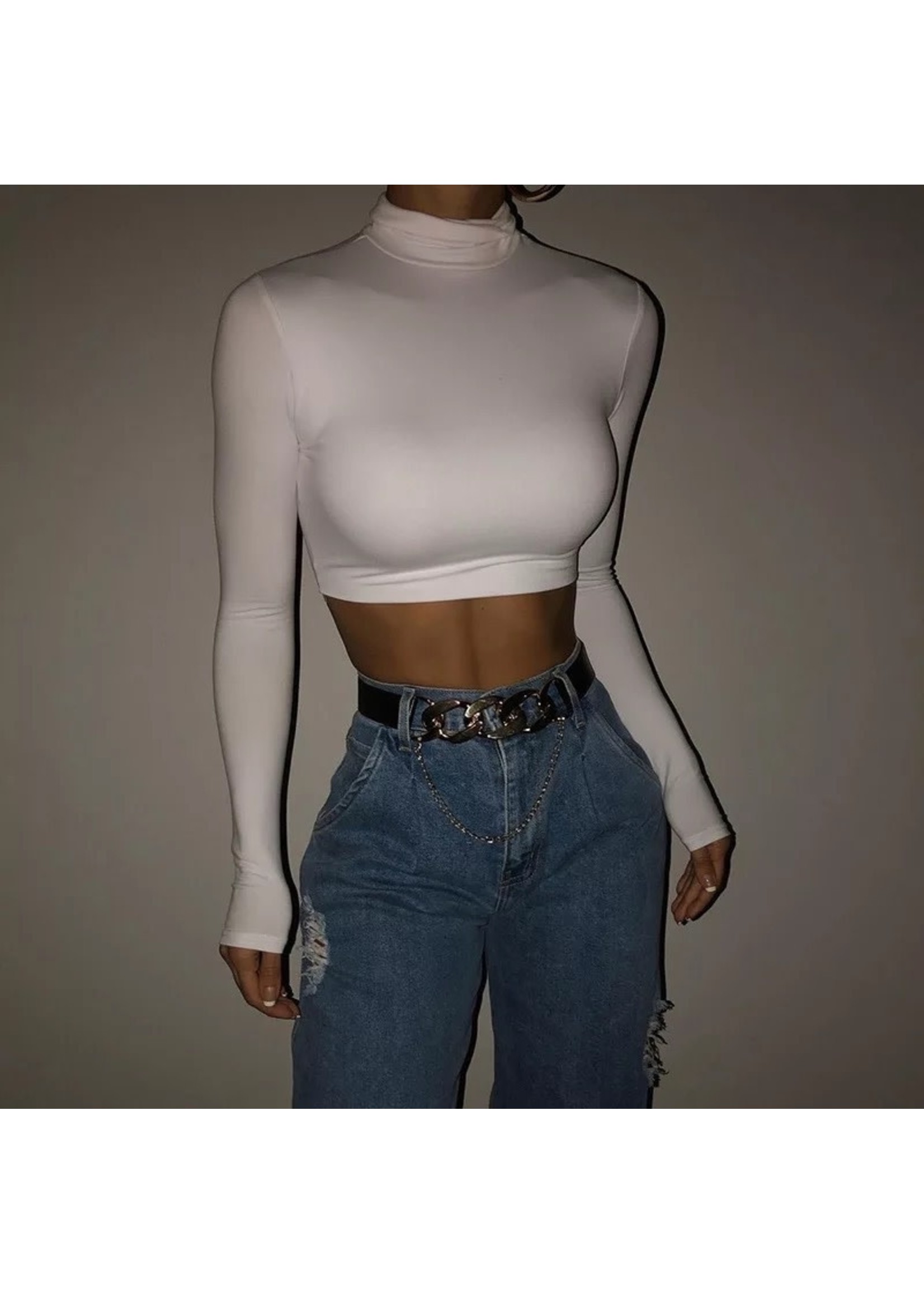 Basic Long Sleeve Turtleneck Crop Top