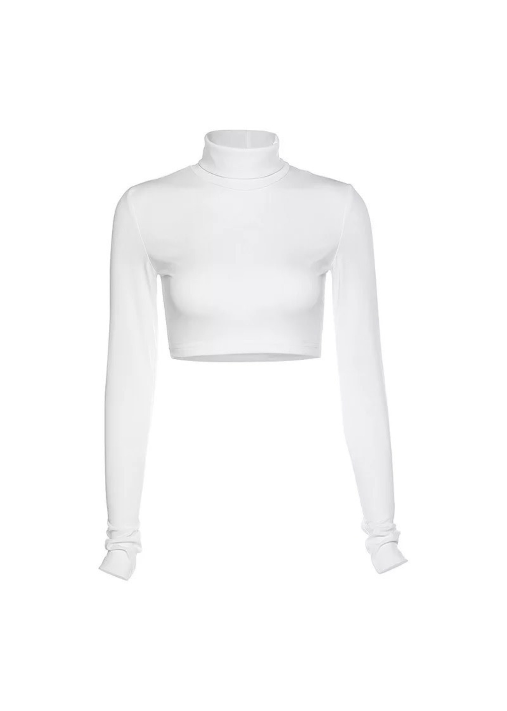 Basic Long Sleeve Turtleneck Crop Top