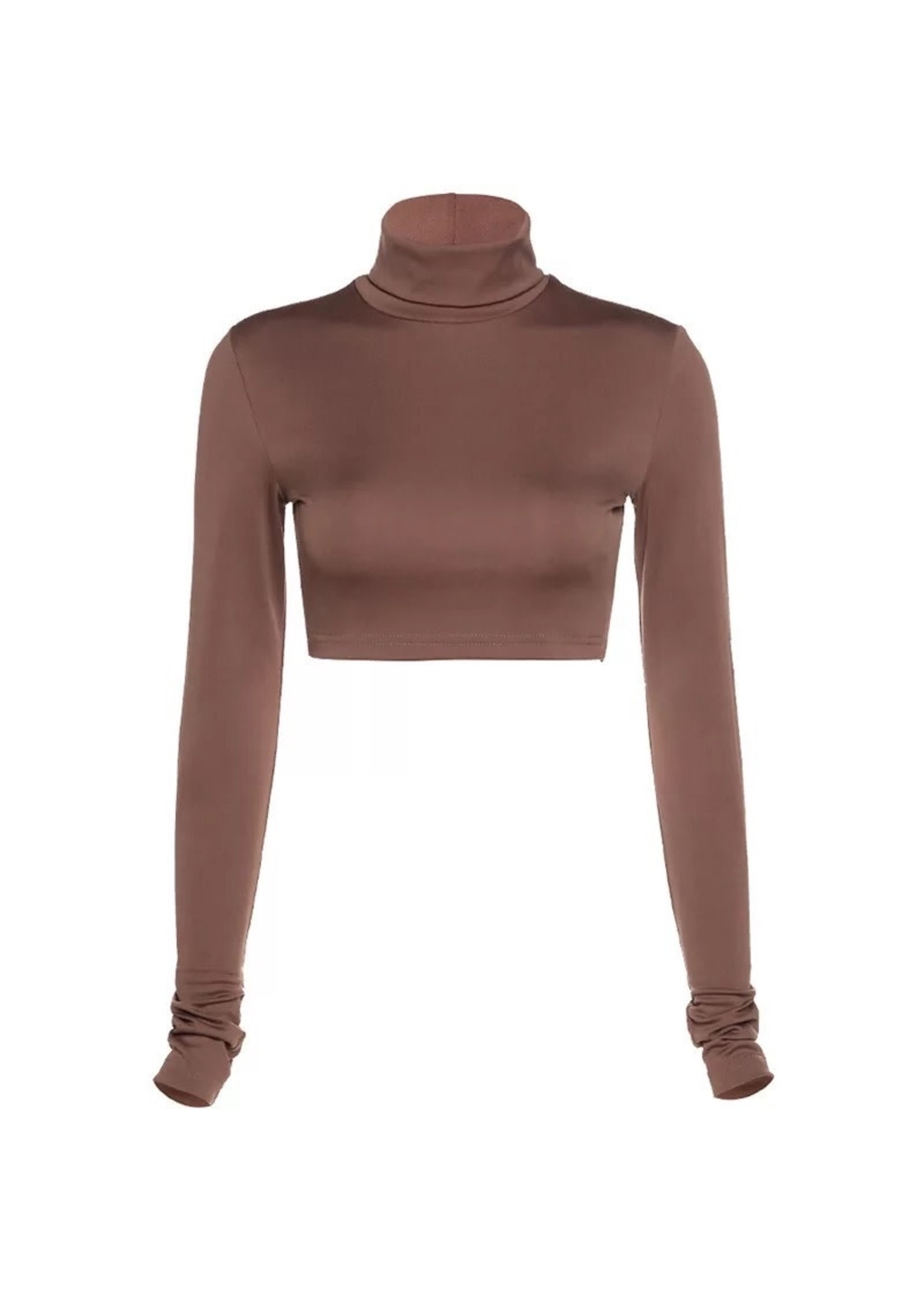 Basic Long Sleeve Turtleneck Crop Top