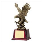 Marco AE380 Resin Eagle on Rosewood Base includes engraving