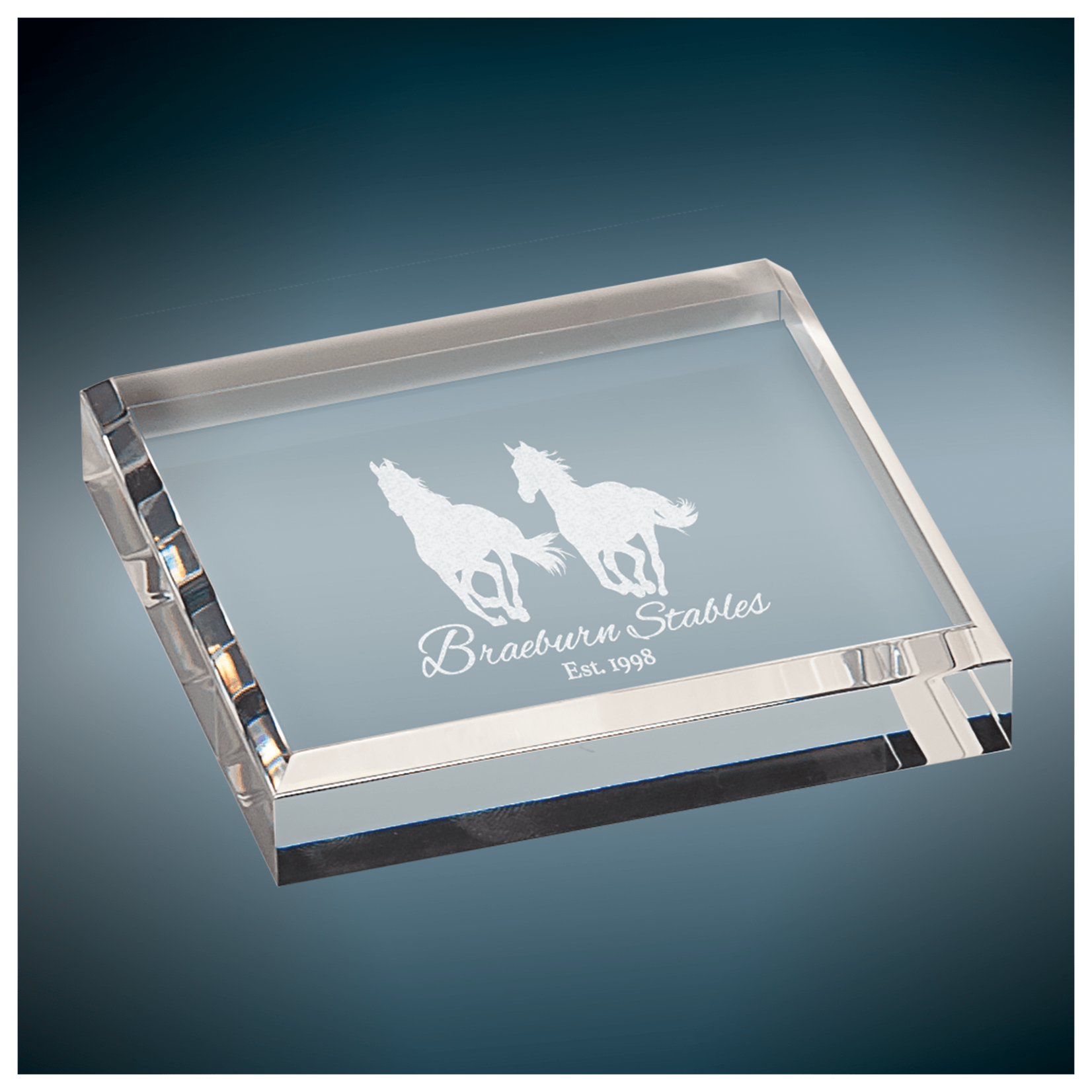 JDS Industries BAC044 Paperweight