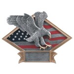 JDS Industries DPS14 Eagle and Flag
