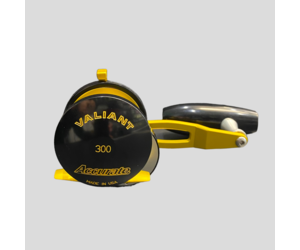 accurate-accurate-bv-valiant-