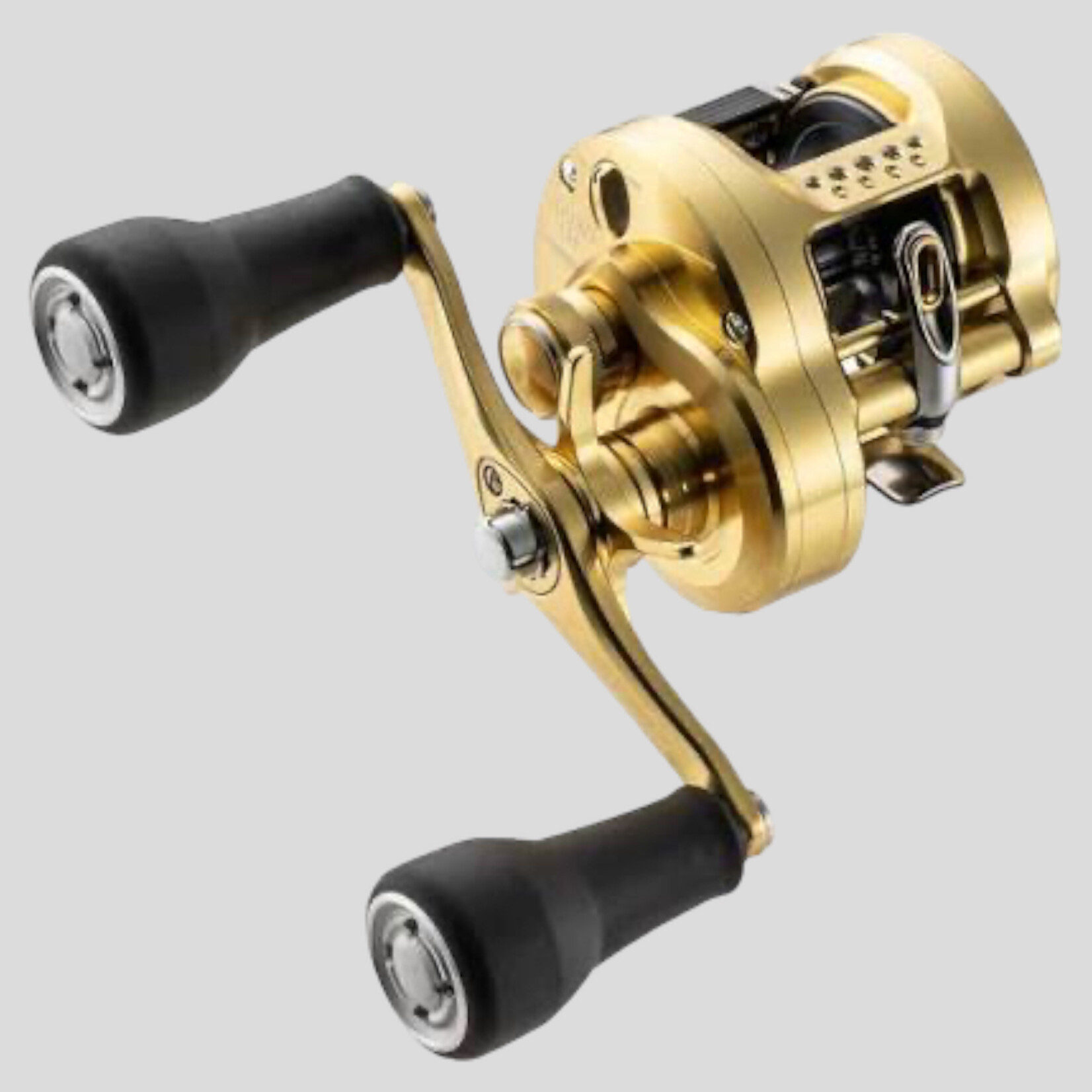 Shimano Calcutta Conquest MD Reel Tyalure Tackle