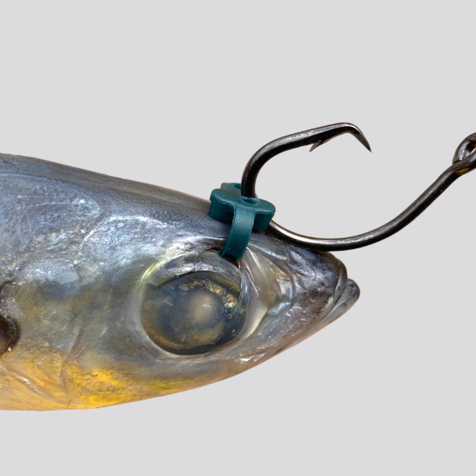 Nitta Live Bait Ties - Tyalure Tackle