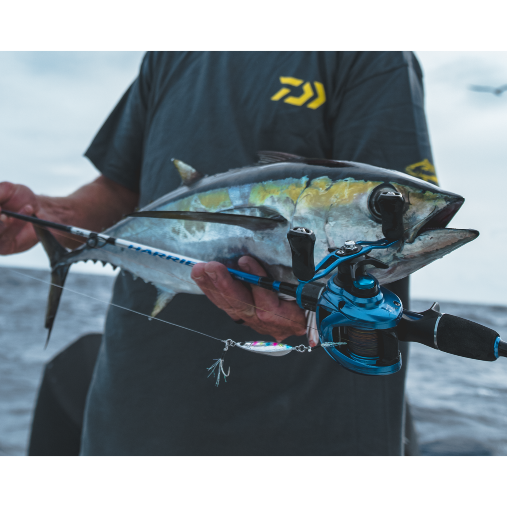 Daiwa Daiwa Harrier SLJ Cast Rod