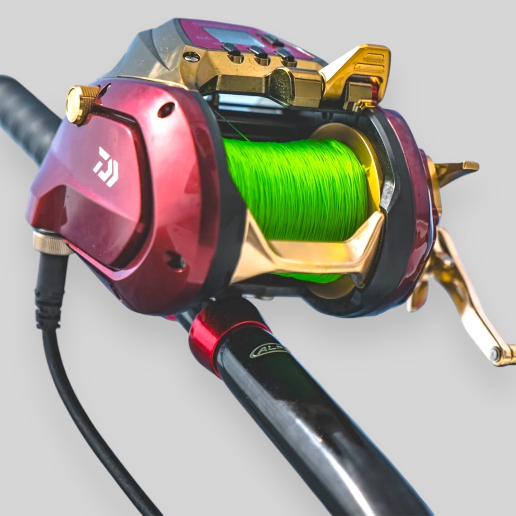 Daiwa Daiwa Seaborg 24