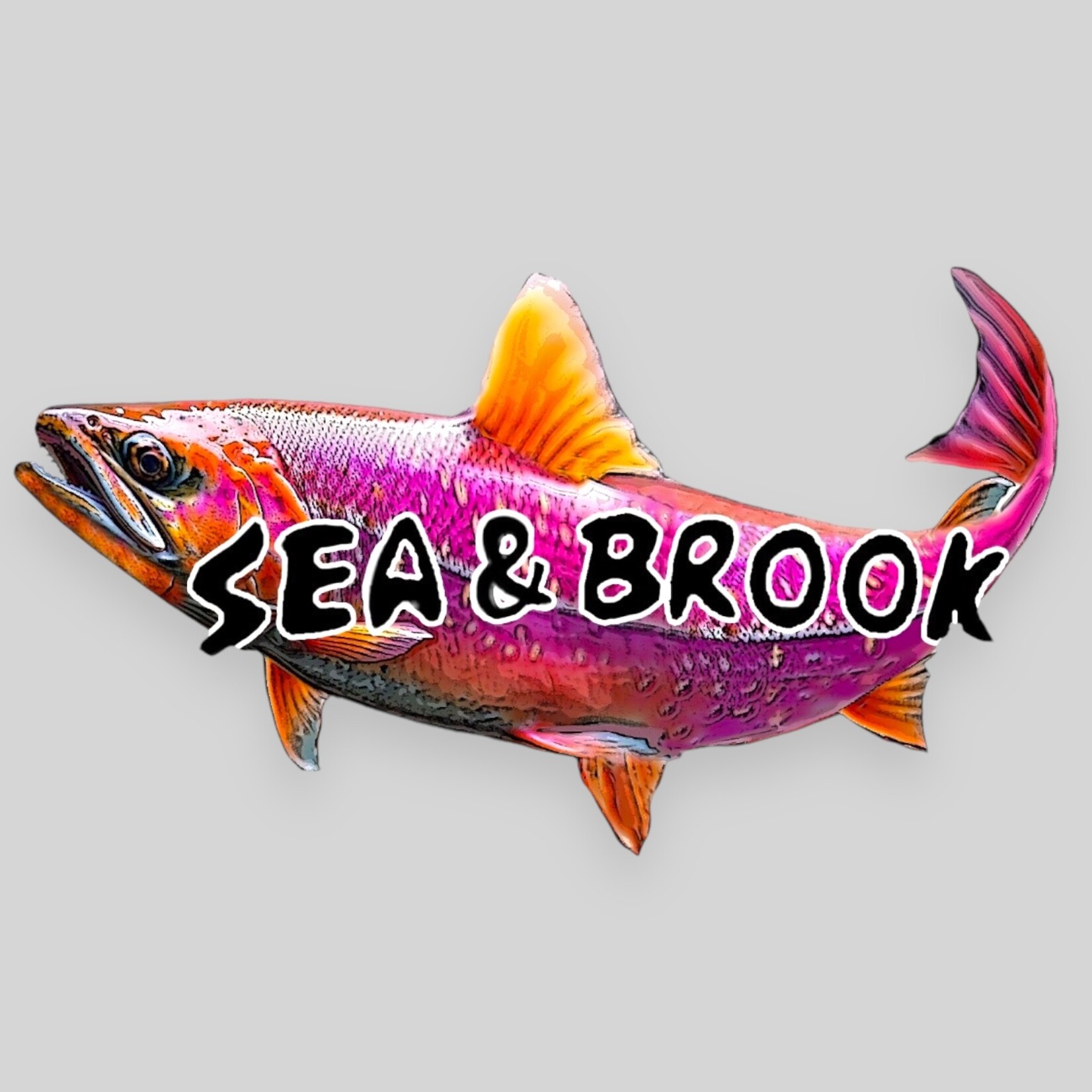Fish Sox Sea-&-Brook Fish Sox
