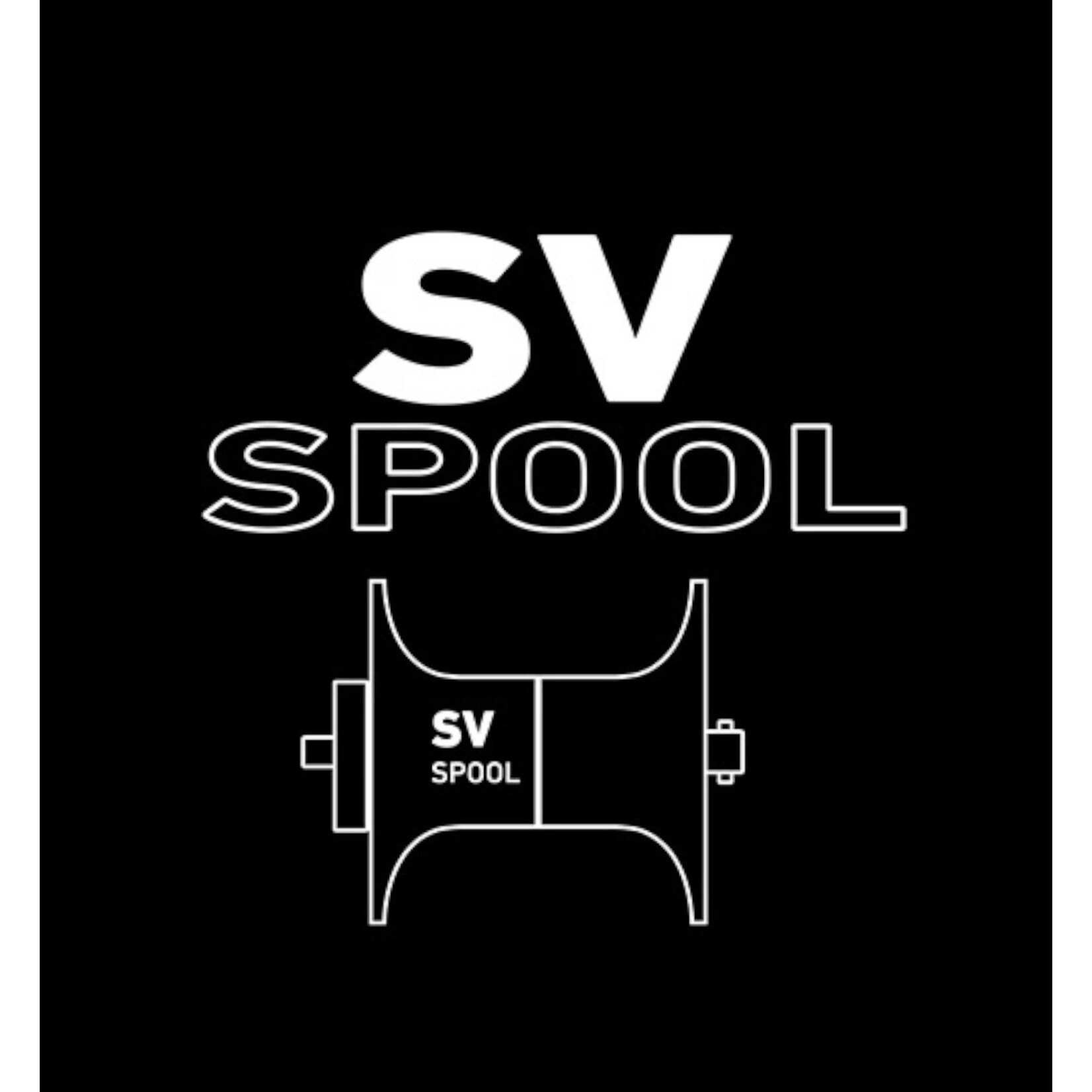 Daiwa Daiwa Coastal SV TW  B Baitcaster