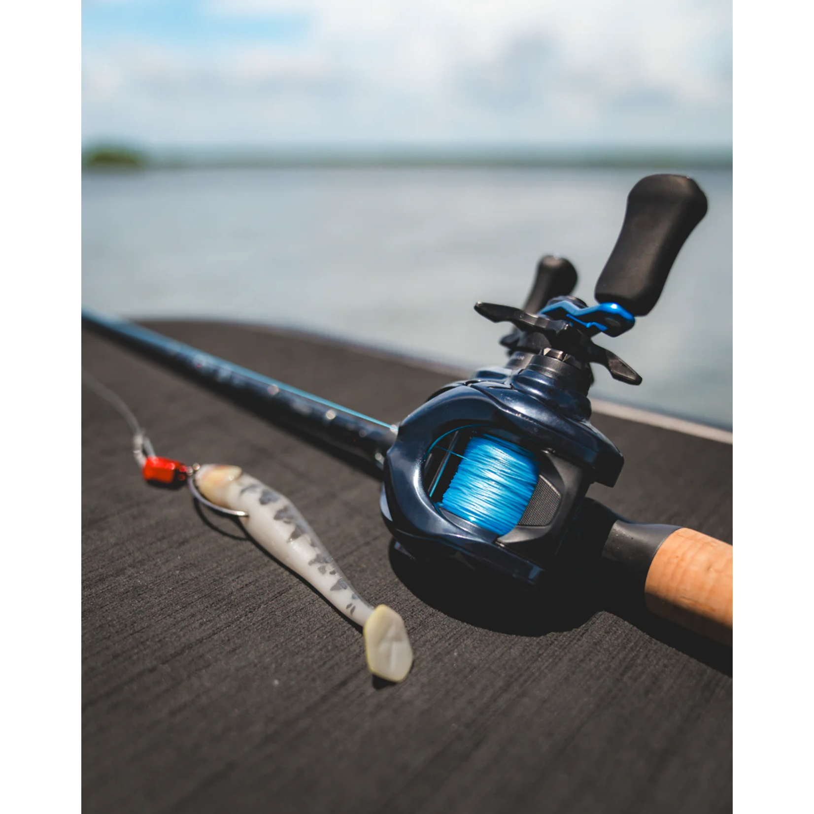 Daiwa Daiwa Coastal SV TW  B Baitcaster