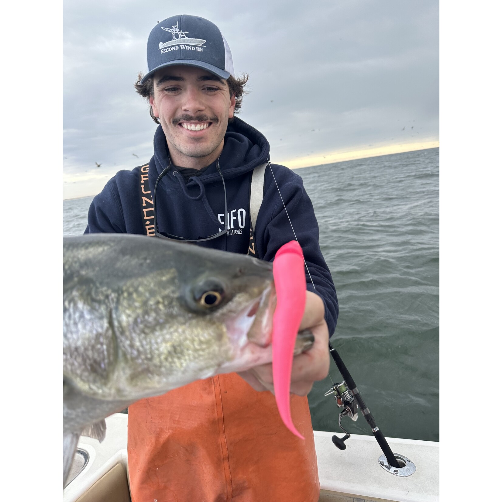 B W BW 9" Swim Jig