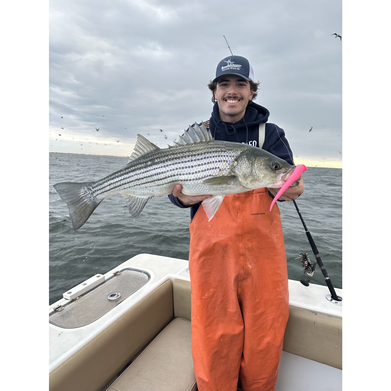 B W BW 6" Swim Jig