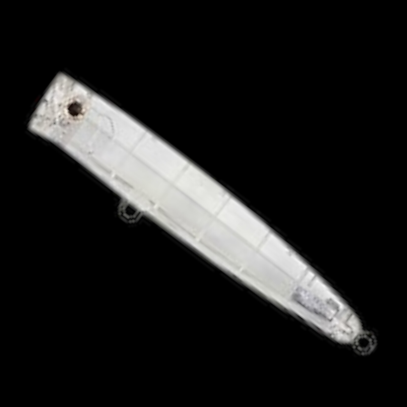 Bassday Bassday Bungy Popper