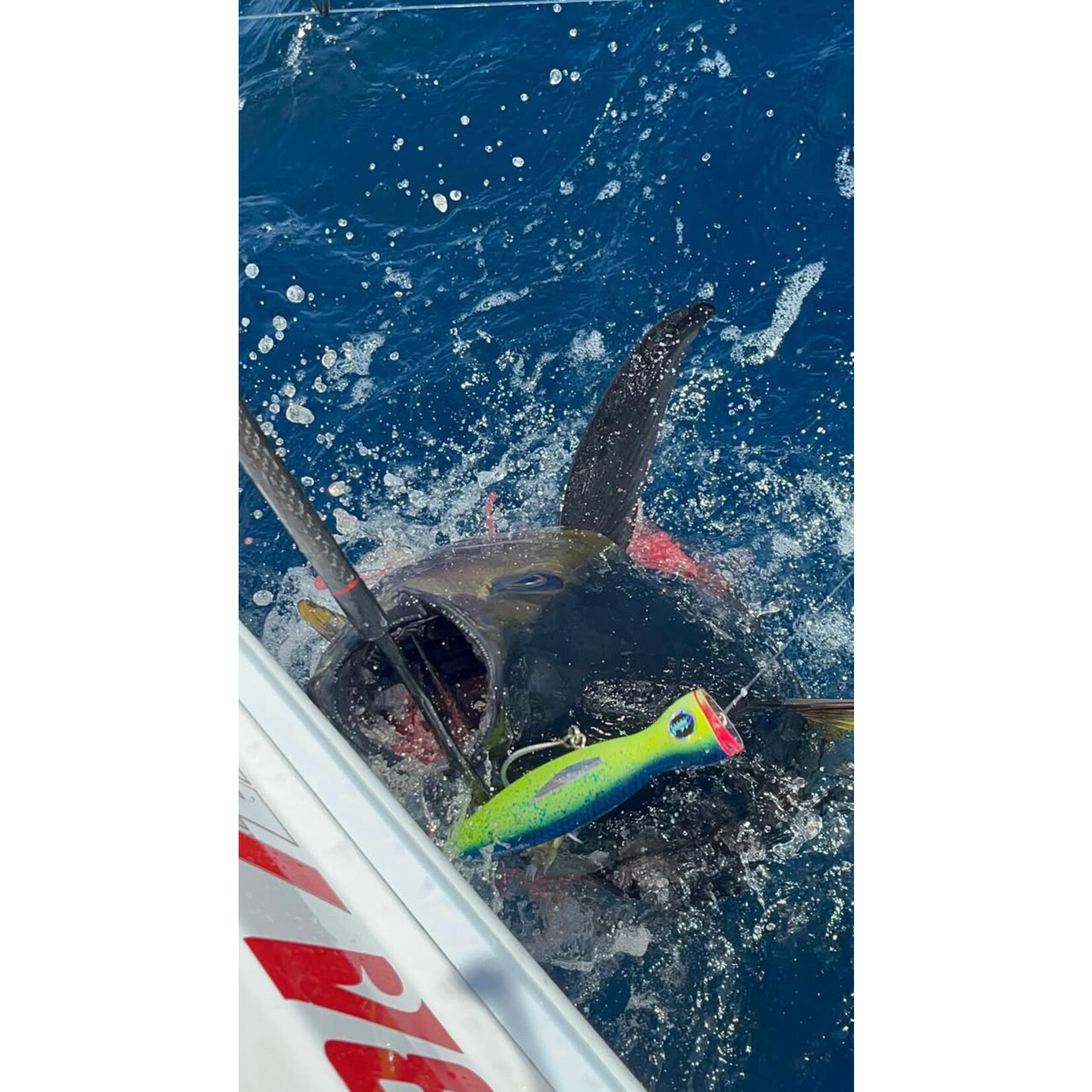 Magbay Lures Magbay AquaMala Popper