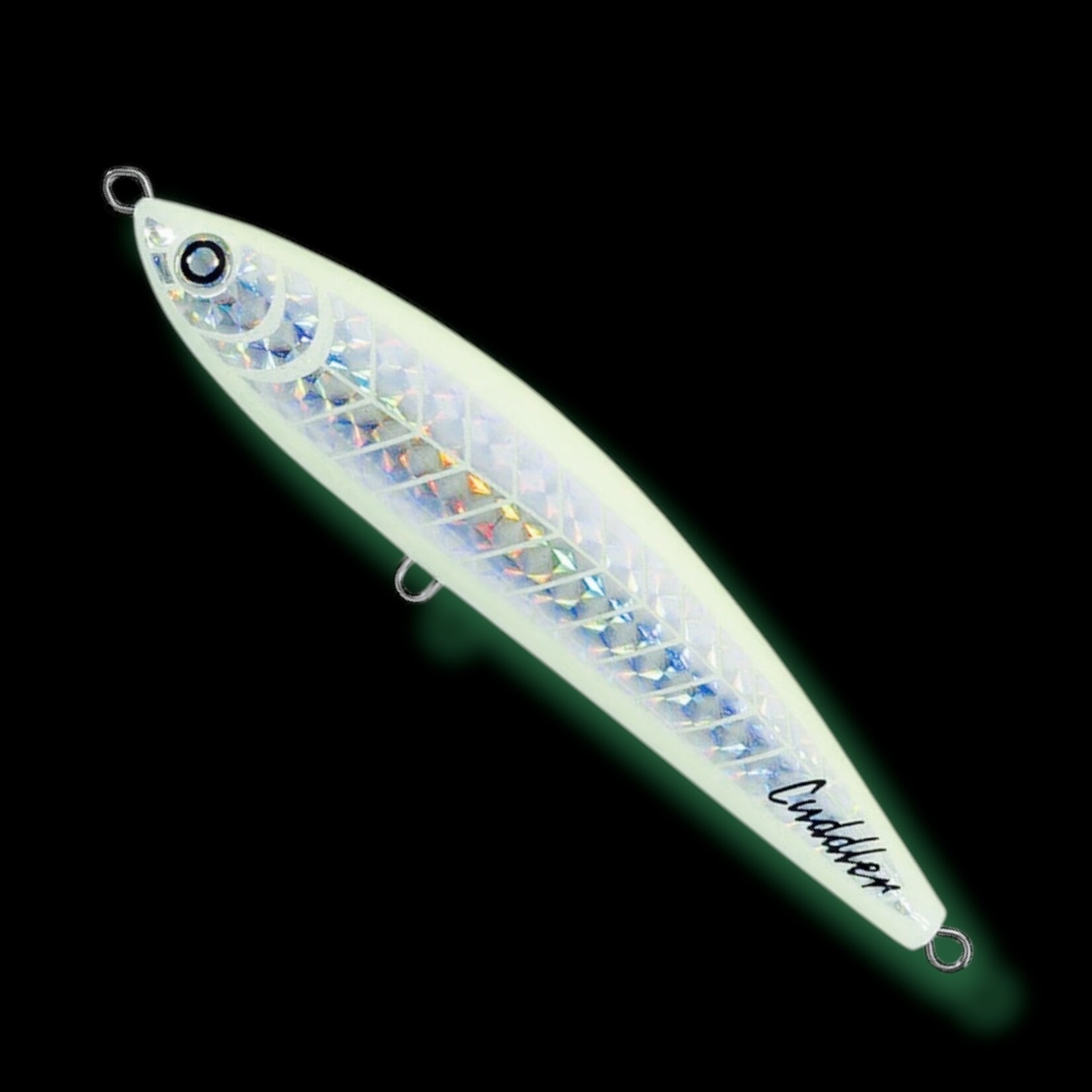 Daiwa Daiwa Saltiga Cuddler
