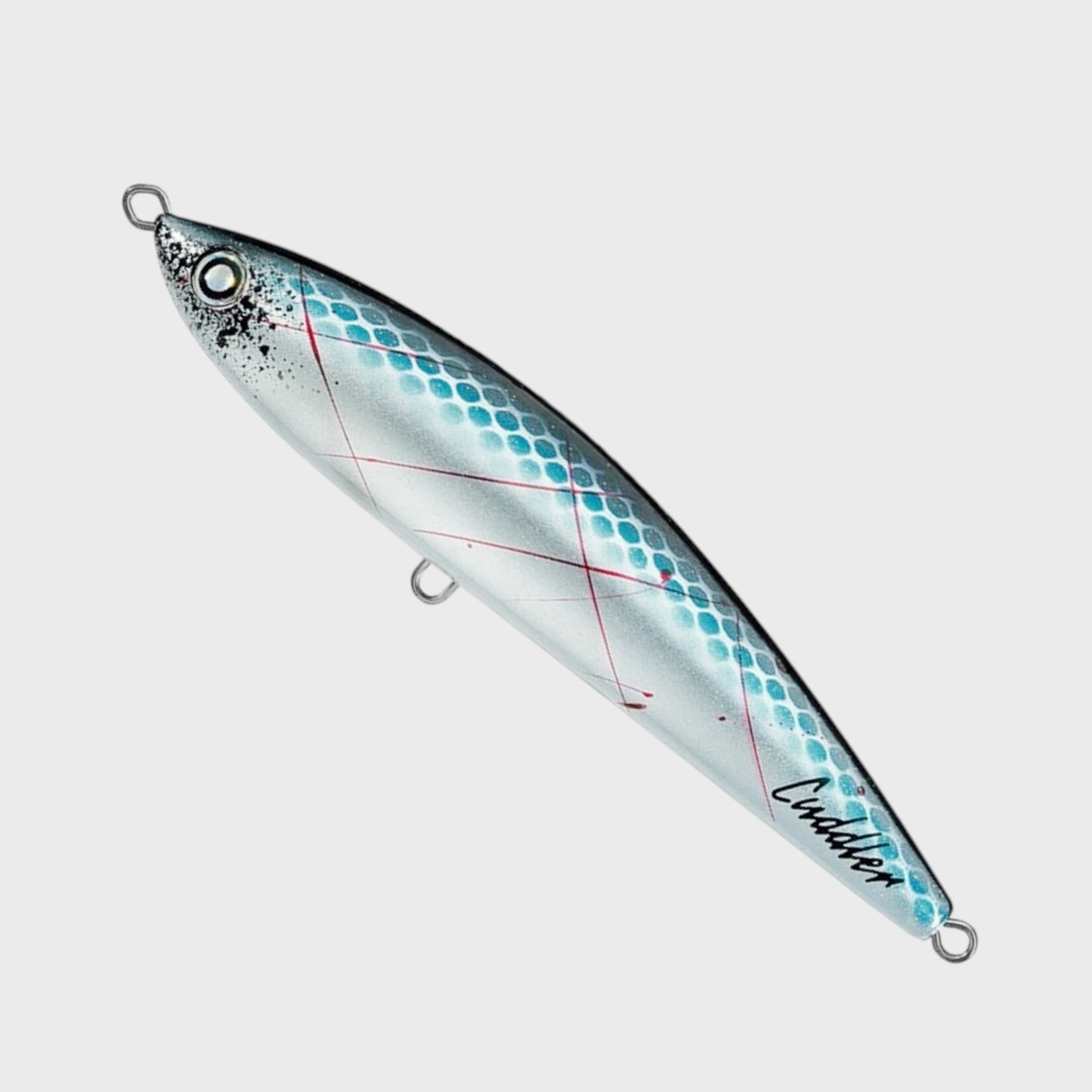 Daiwa Daiwa Saltiga Cuddler