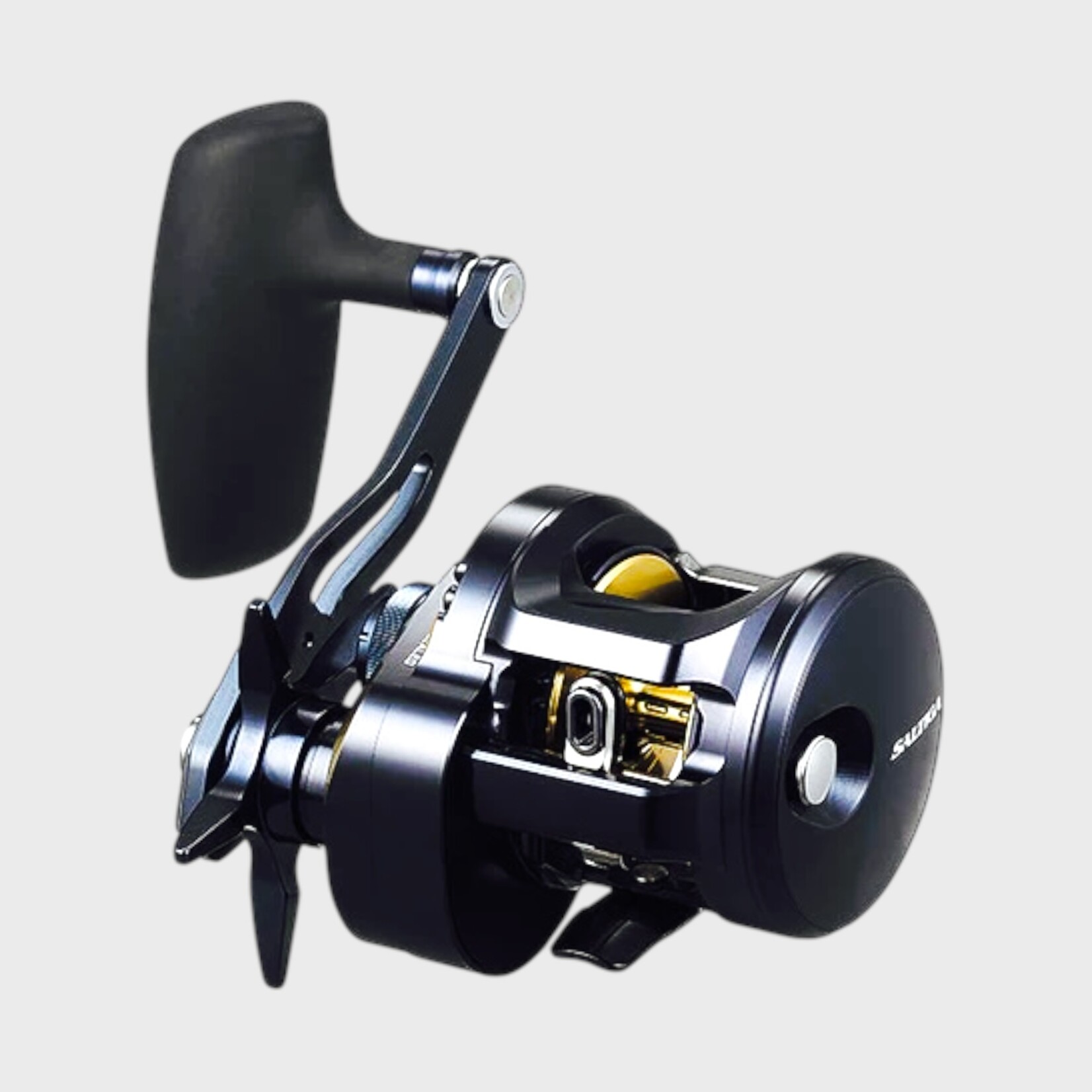 Daiwa Daiwa Saltiga 300