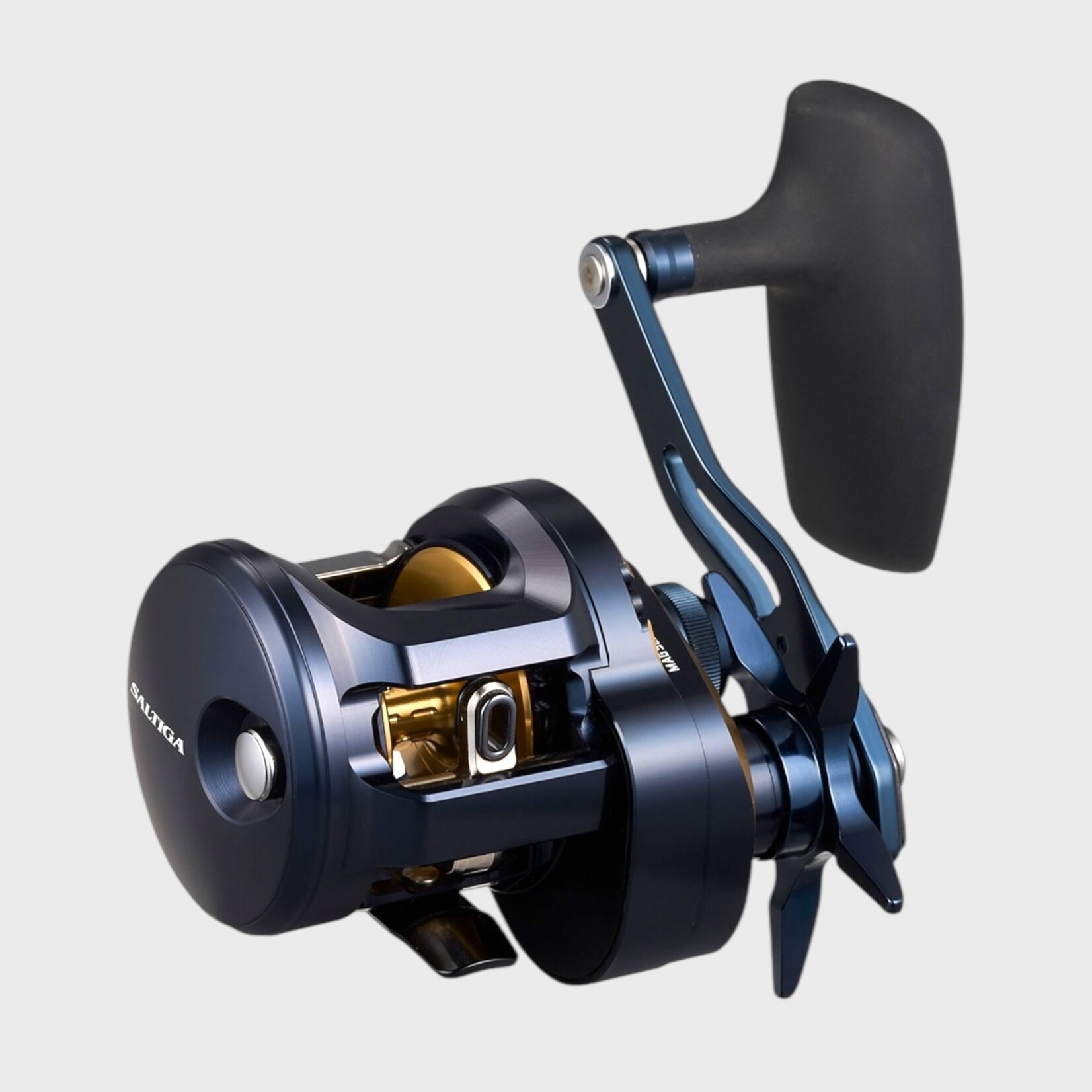 Daiwa Daiwa Saltiga 300