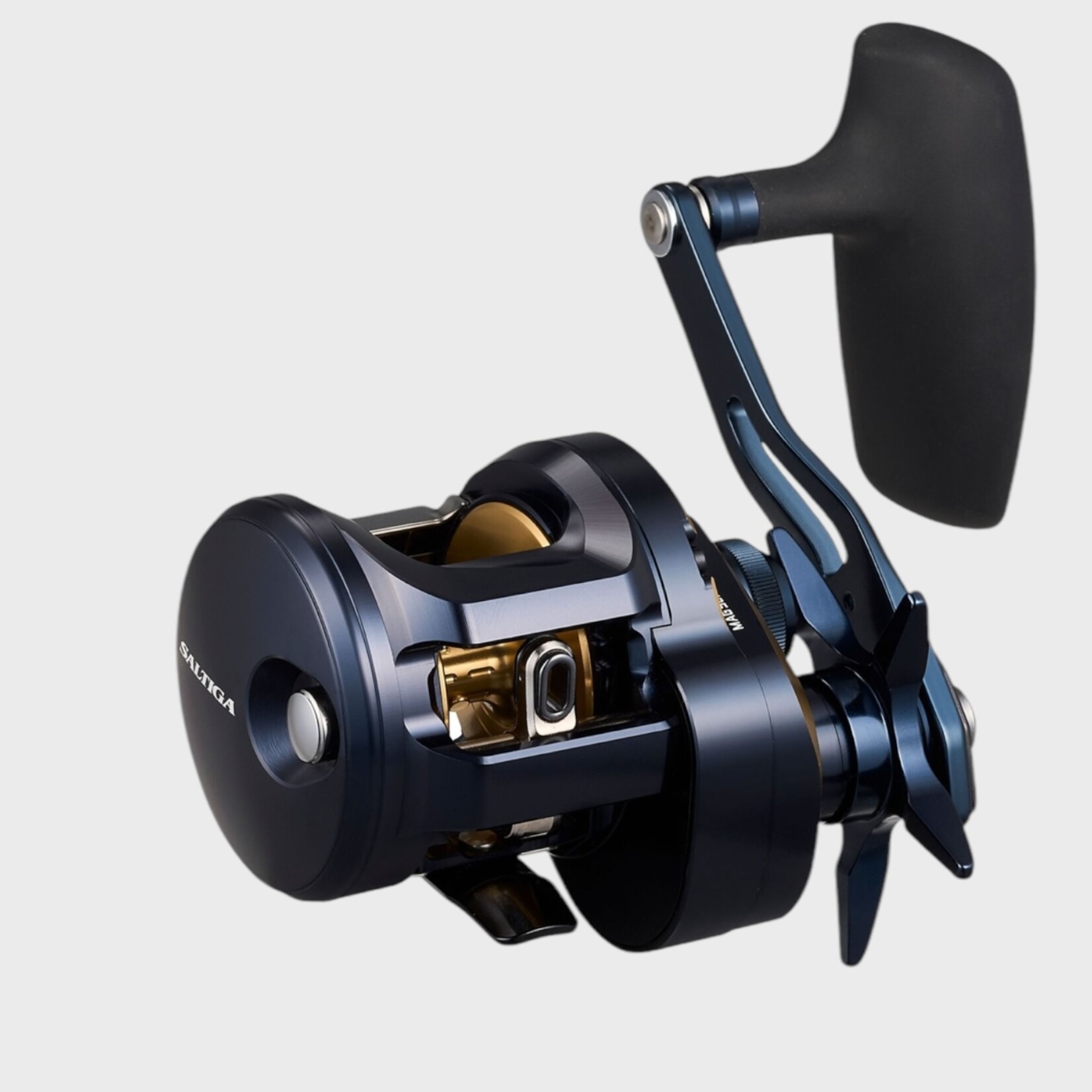 Daiwa Daiwa Saltiga 300