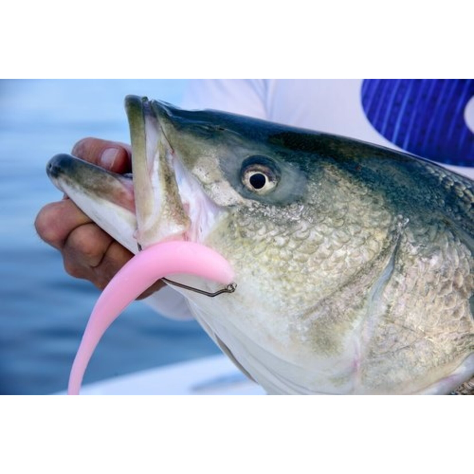 Fish Snax Lures FSL Super Snax
