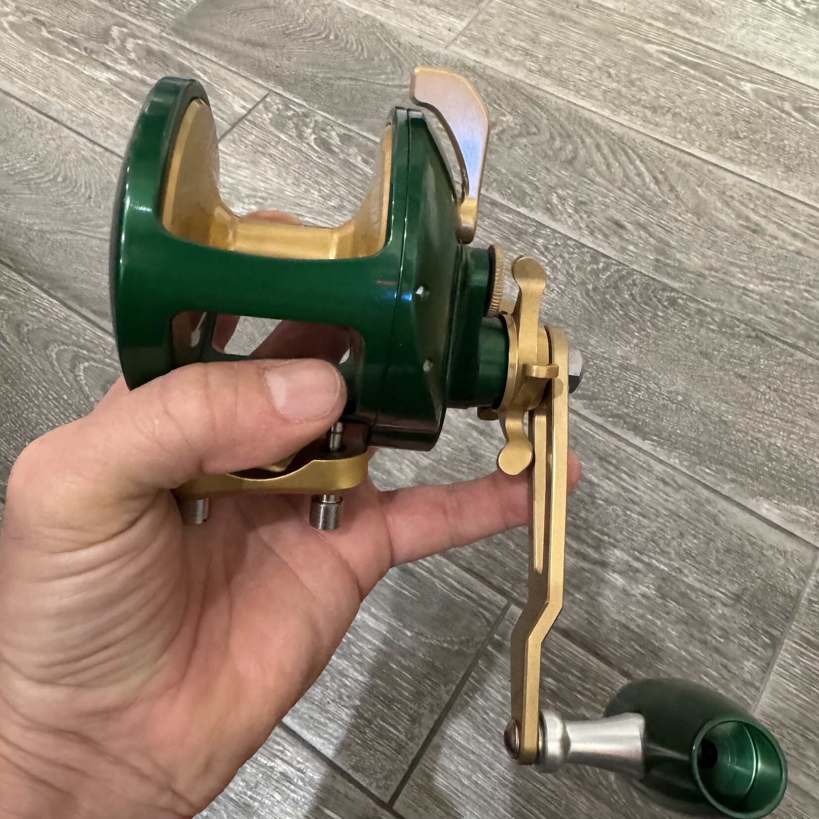 Accurate AccurateTern2 Notre Dame