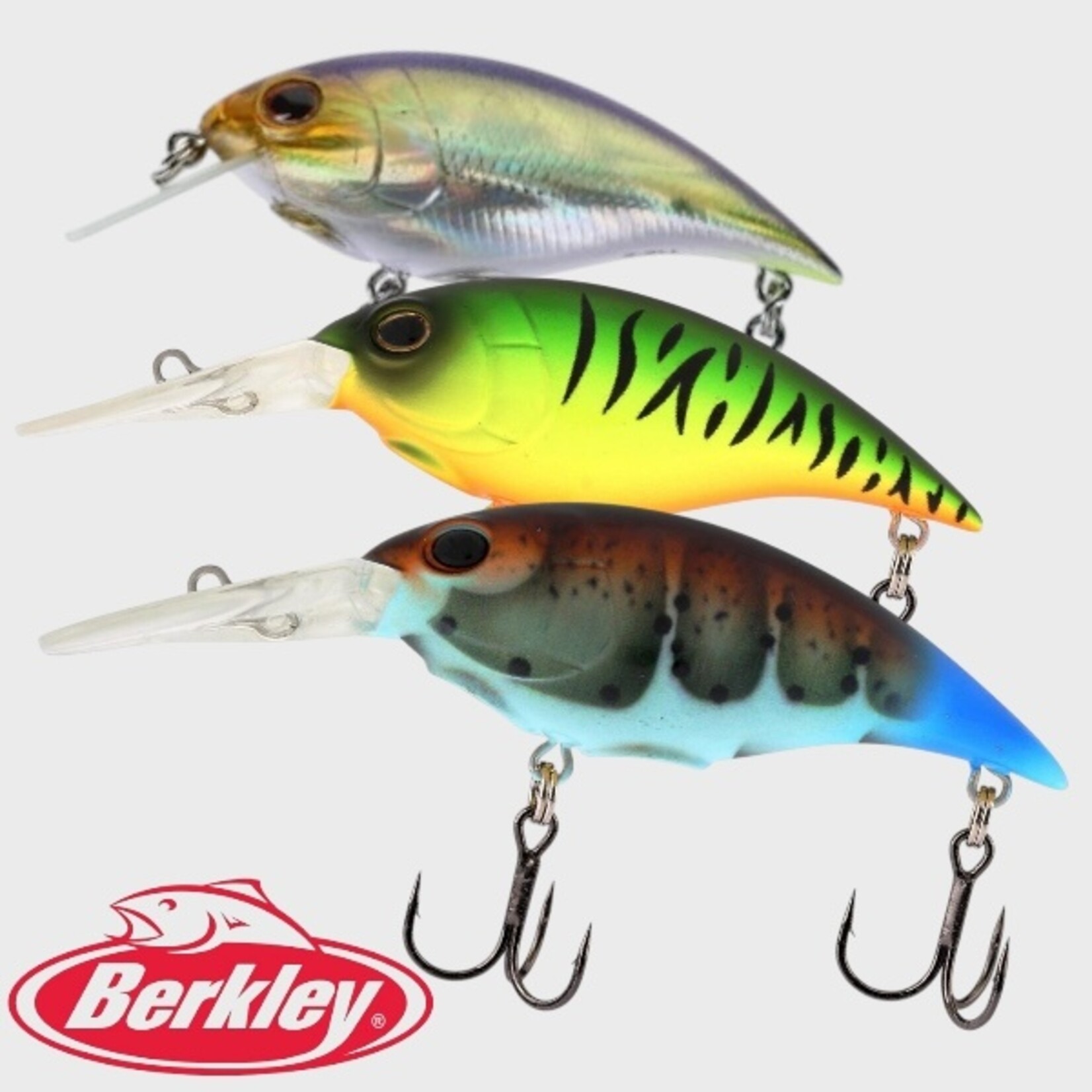 Berkley Berkley Shallow Money Badger